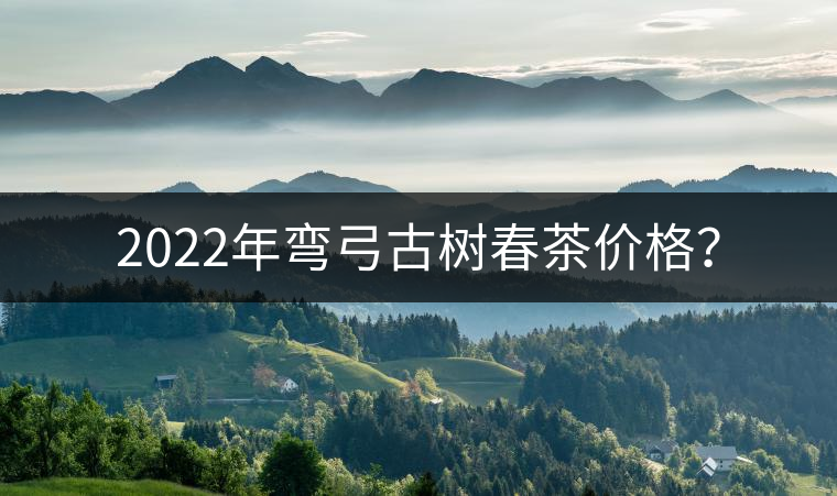2022年彎弓古樹(shù)春茶價(jià)格？