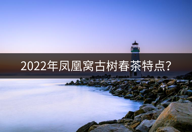 2022年鳳凰窩古樹春茶特點(diǎn)？