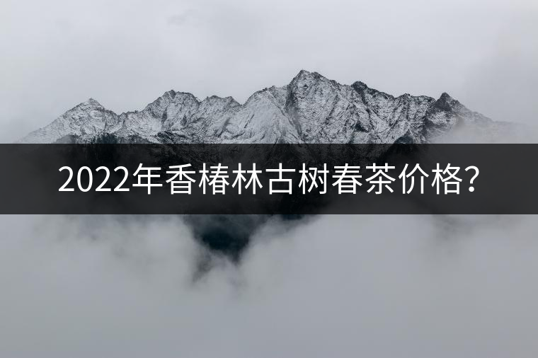 2022年香椿林古樹春茶價(jià)格？