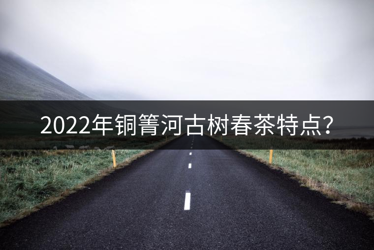2022年銅箐河古樹(shù)春茶特點(diǎn)？