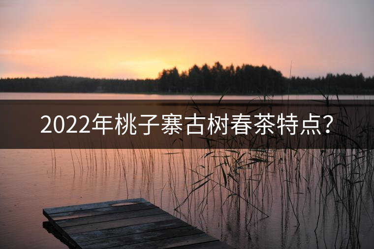 2022年桃子寨古樹春茶特點(diǎn)？