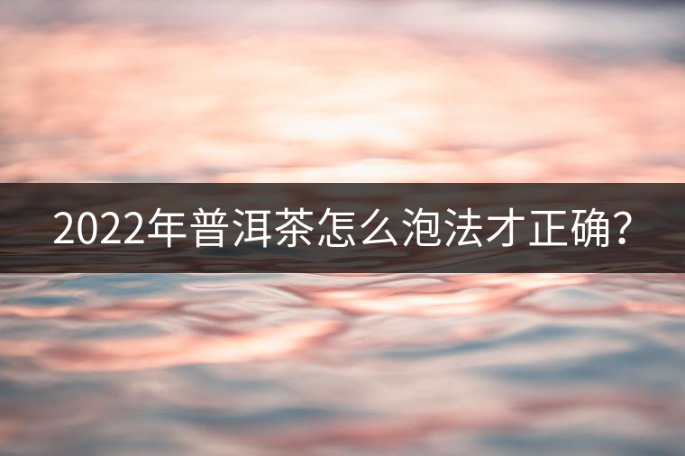 2022年普洱茶怎么泡法才正確？