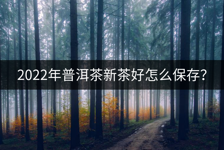 2022年普洱茶新茶好怎么保存？