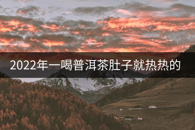 2022年一喝普洱茶肚子就熱熱的怎么回事？