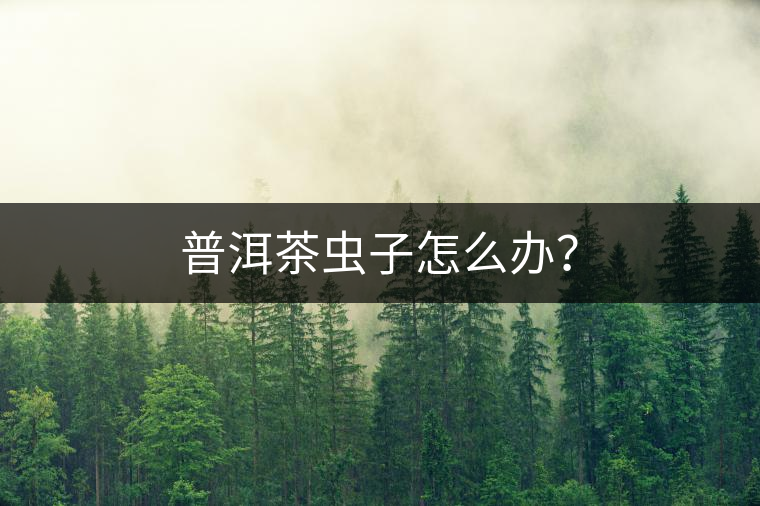 普洱茶蟲(chóng)子怎么辦？