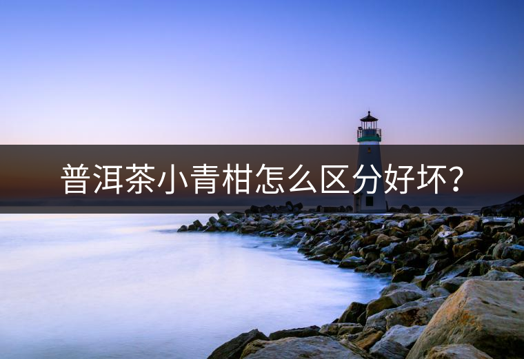 普洱茶小青柑怎么區(qū)分好壞？