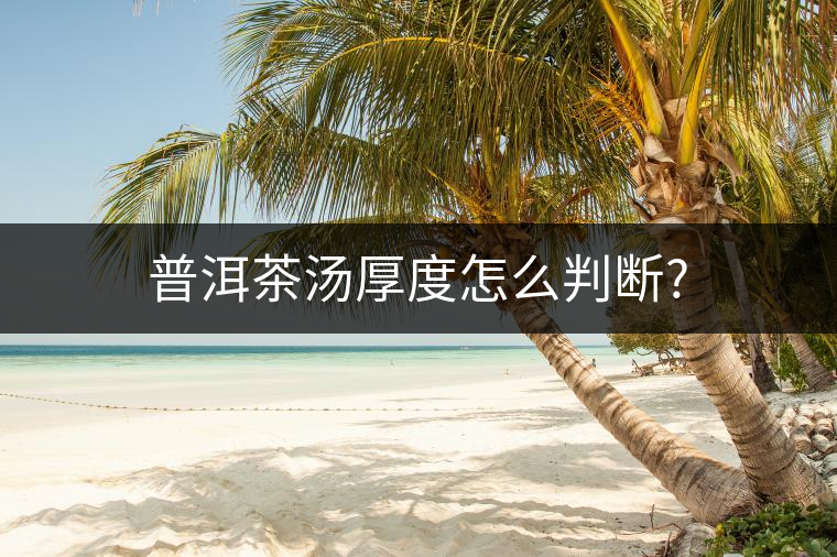 普洱茶湯厚度怎么判斷?