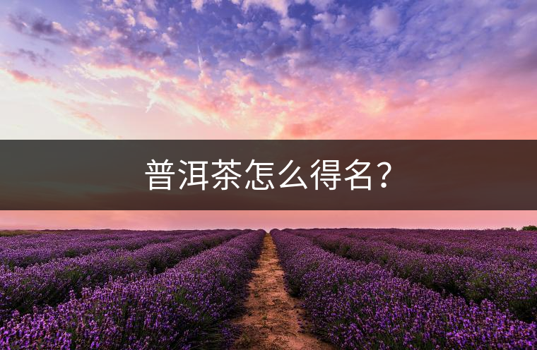 普洱茶怎么得名? 普洱茶怎么得名?