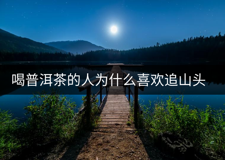 喝普洱茶的人為什么喜歡追山頭？無非就是這幾個原因