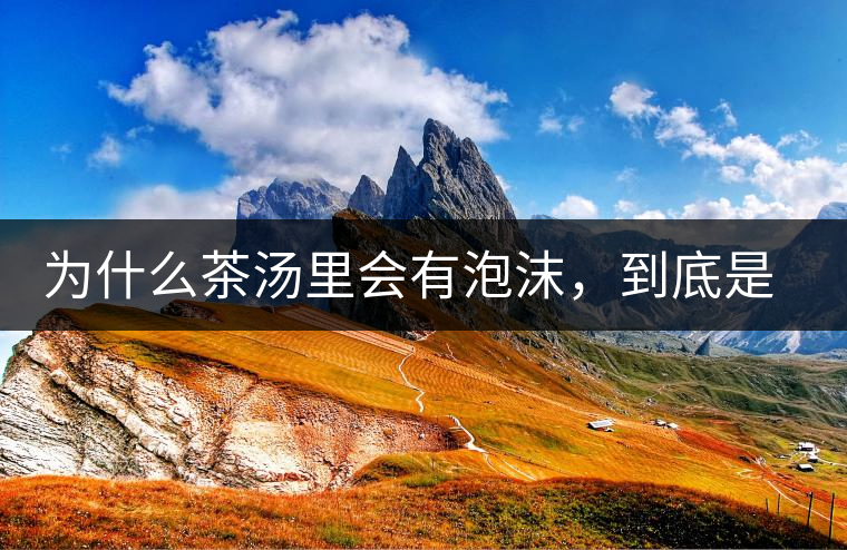 為什么茶湯里會有泡沫，到底是怎么回事？