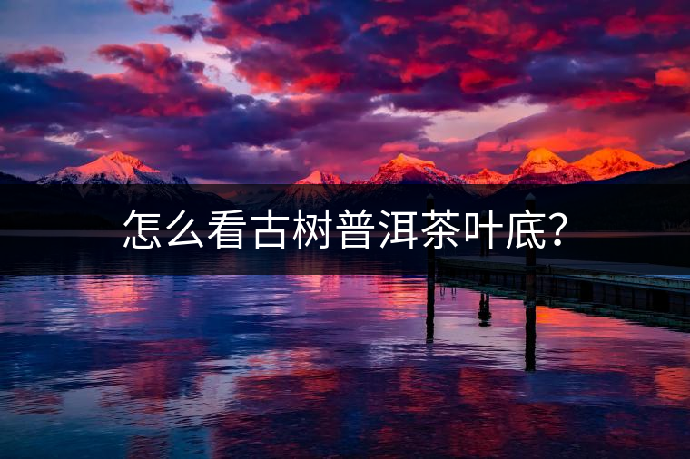 怎么看古樹(shù)普洱茶葉底？