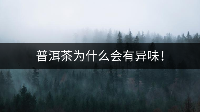 普洱茶為什么會(huì)有異味！