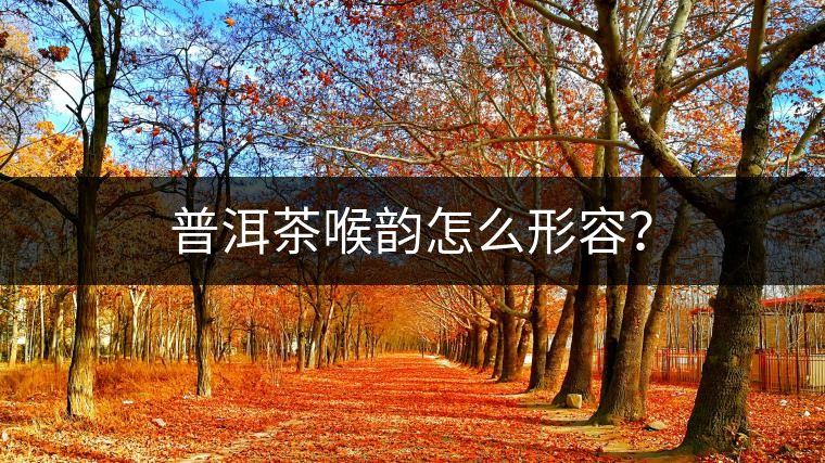 普洱茶喉韻怎么形容？