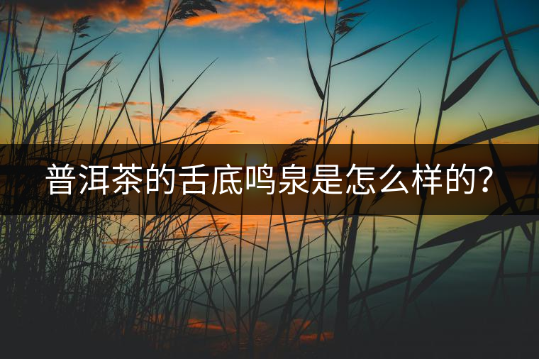 普洱茶的舌底鳴泉是怎么樣的？