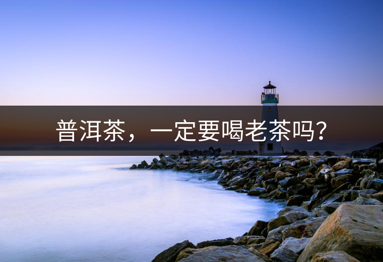 普洱茶，一定要喝老茶嗎？