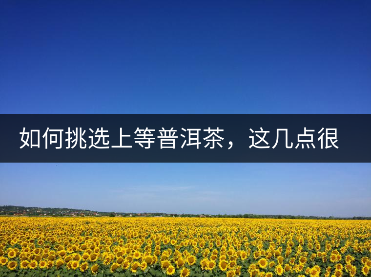 如何挑選上等普洱茶，這幾點(diǎn)很關(guān)鍵