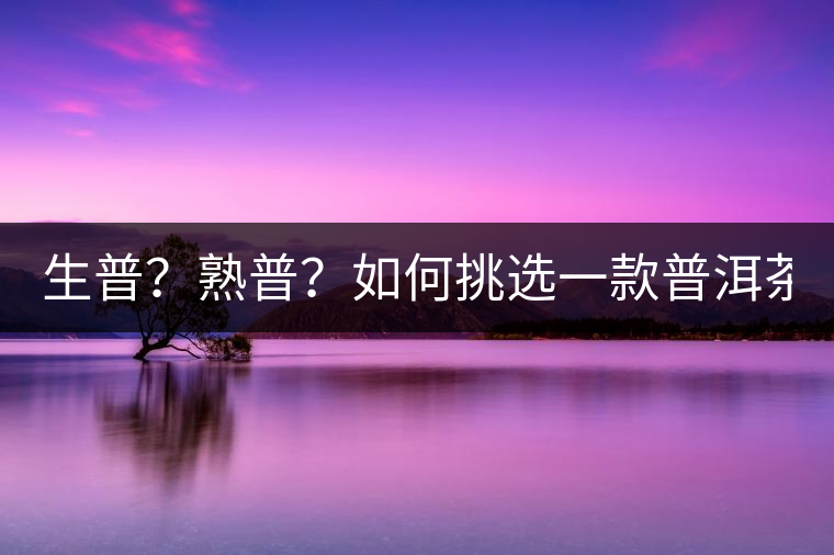 生普？熟普？如何挑選一款普洱茶？