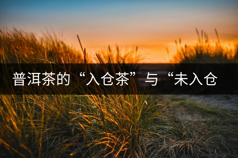 普洱茶的“入倉茶”與“未入倉茶”如何區(qū)分，你造嗎？
