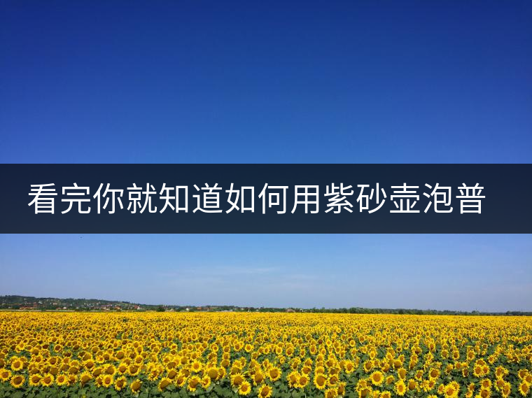 看完你就知道如何用紫砂壺泡普洱茶了