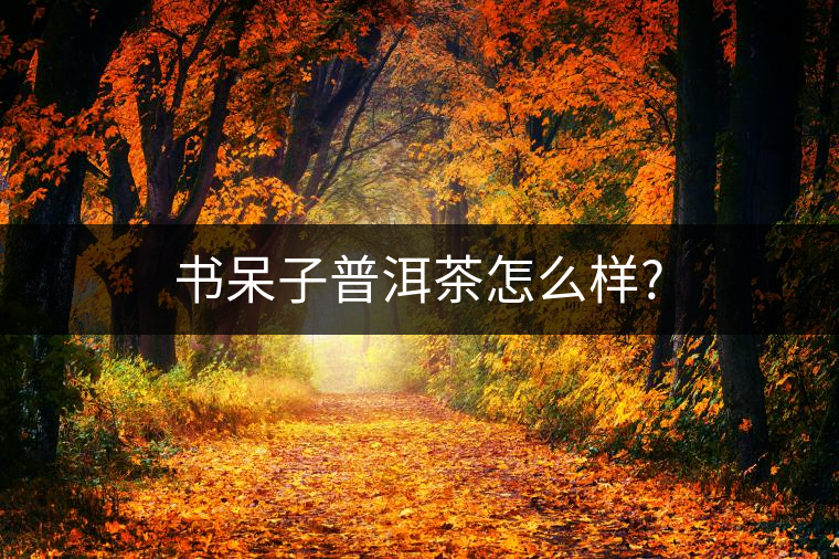 書呆子普洱茶怎么樣?
