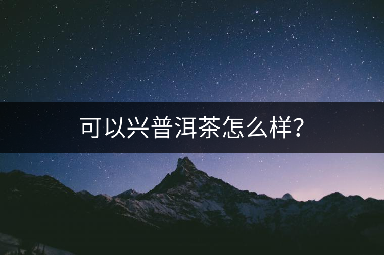 可以興普洱茶怎么樣？