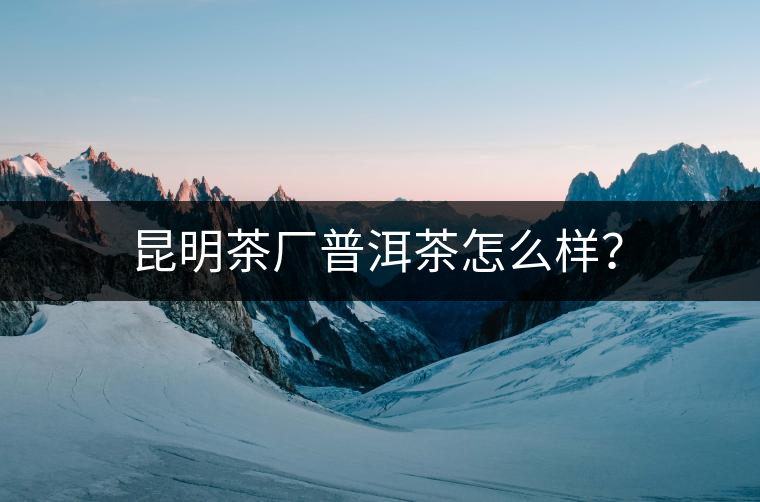 昆明茶廠普洱茶怎么樣？