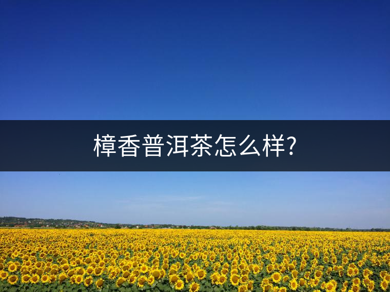 樟香普洱茶怎么樣?