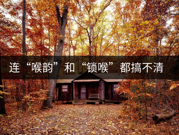 連“喉韻”和“鎖喉”都搞不清楚，就不要說(shuō)懂普洱茶！