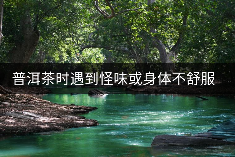 普洱茶時(shí)遇到怪味或身體不舒服時(shí)，怎么破？