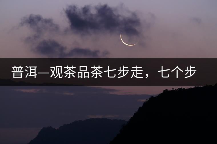 普洱—觀茶品茶七步走，七個步驟，喝懂普洱茶