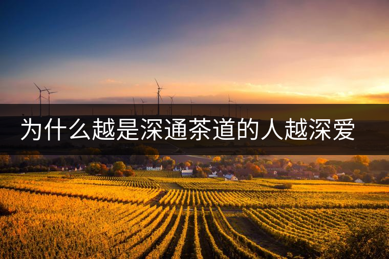 為什么越是深通茶道的人越深愛普洱茶？喜歡普洱茶，有三個原因。