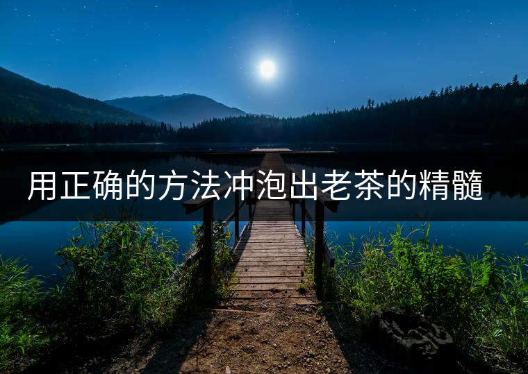 用正確的方法沖泡出老茶的精髓；評看普洱茶葉底也是一門手藝！