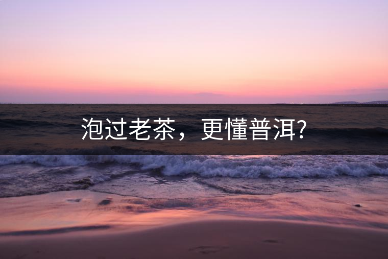 泡過老茶，更懂普洱?