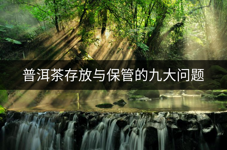 普洱茶存放與保管的九大問題 普洱茶存放與保管的九大問題