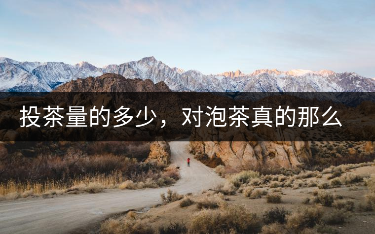 投茶量的多少，對泡茶真的那么重要嗎？
