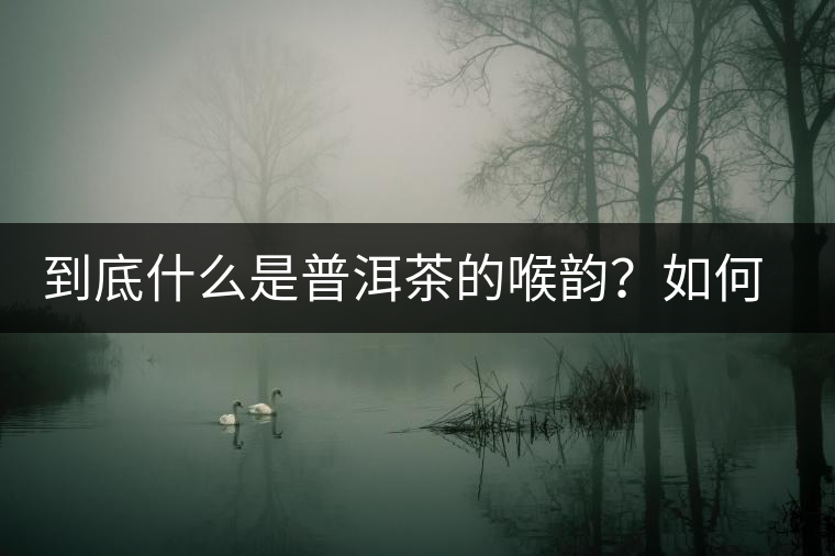 到底什么是普洱茶的喉韻？如何感受？