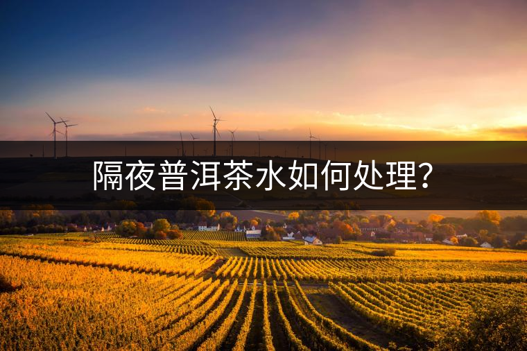 隔夜普洱茶水如何處理？