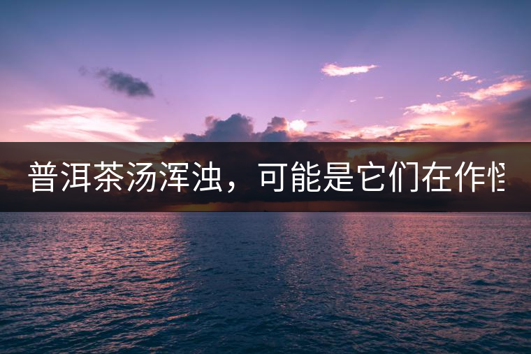 普洱茶湯渾濁，可能是它們在作怪？