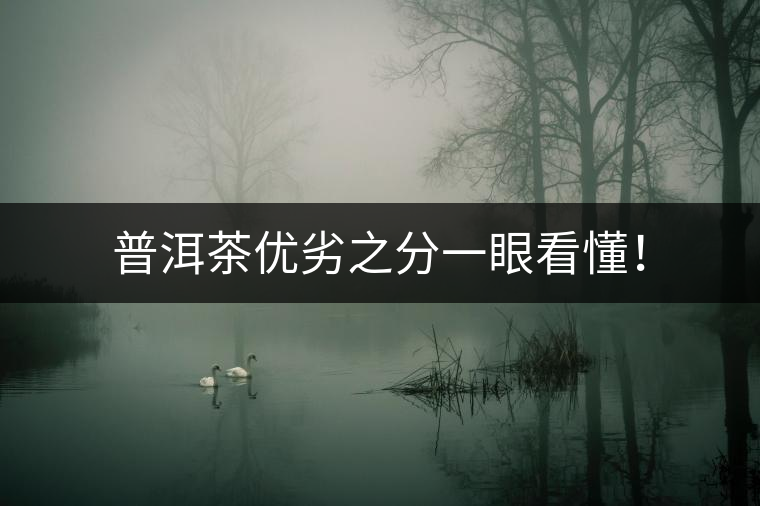 普洱茶優(yōu)劣之分一眼看懂！