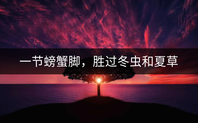 一節(jié)螃蟹腳，勝過冬蟲和夏草