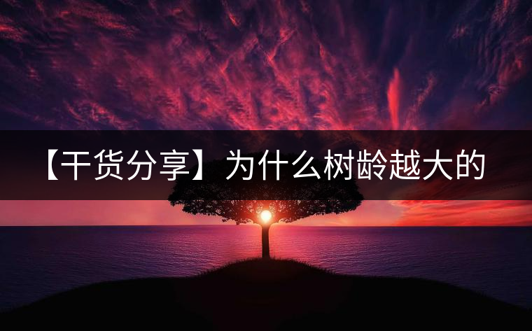 【干貨分享】為什么樹齡越大的普洱生茶，苦味越容易化掉？