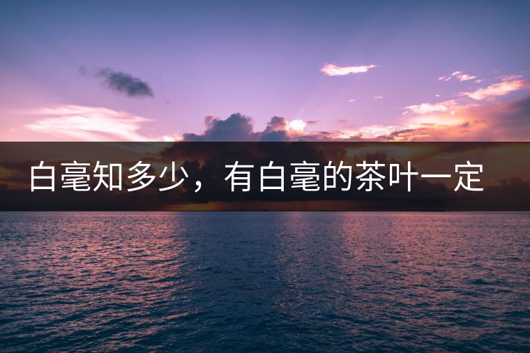 白毫知多少，有白毫的茶葉一定好嗎？