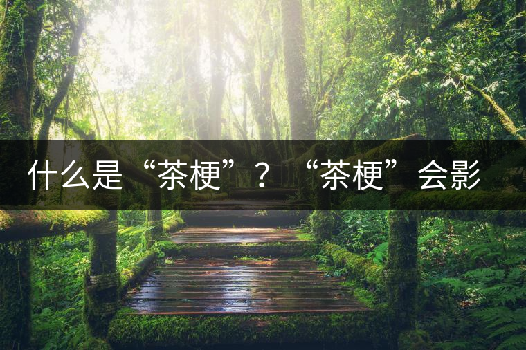 什么是“茶?！保俊安韫！睍?huì)影響普洱茶品質(zhì)？