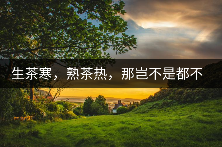 生茶寒，熟茶熱，那豈不是都不能喝了？丨實(shí)用