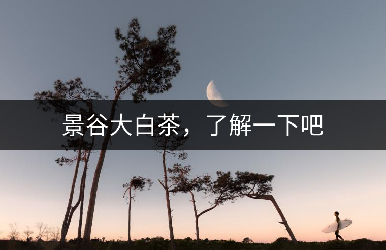 景谷大白茶，了解一下吧