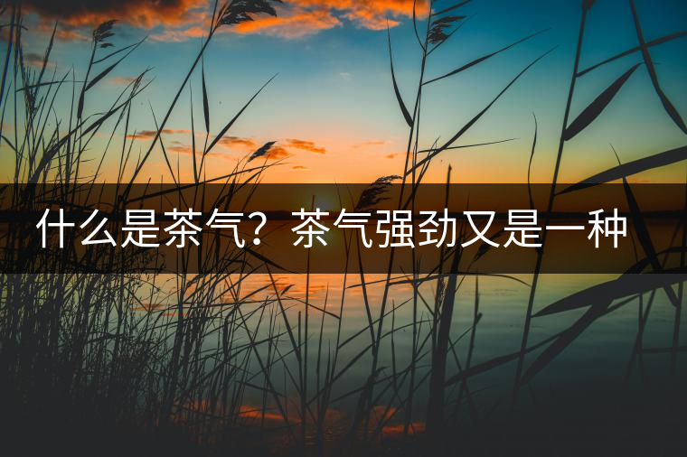 什么是茶氣？茶氣強勁又是一種怎樣的體驗？
