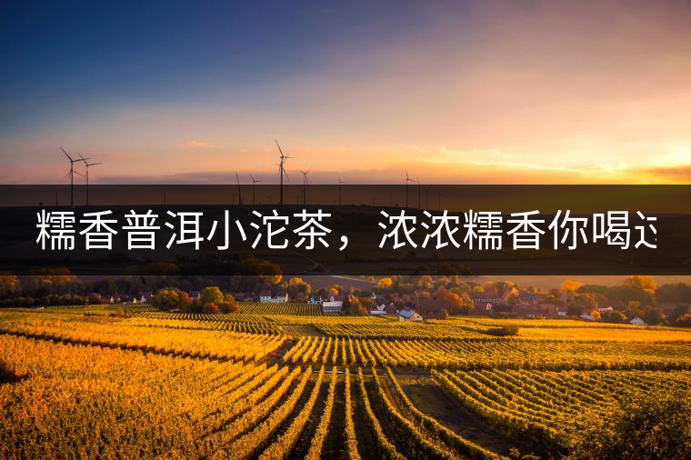 糯香普洱小沱茶，濃濃糯香你喝過(guò)嗎？