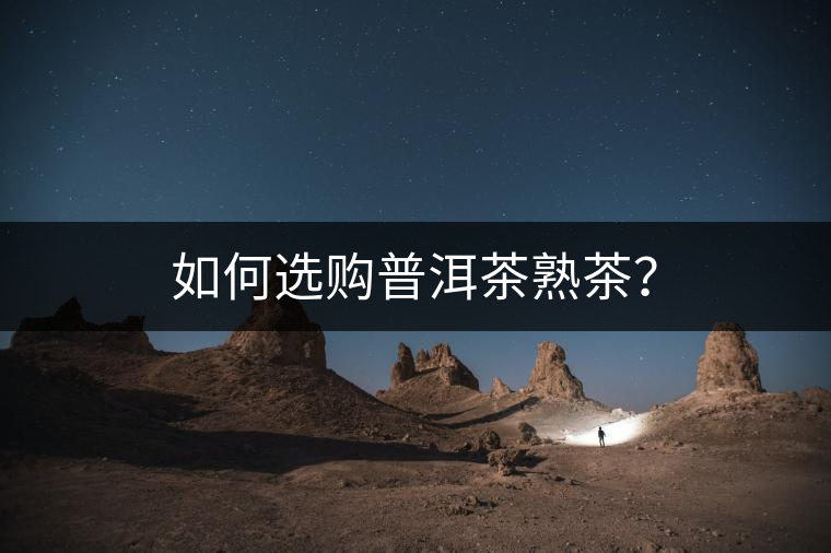 如何選購普洱茶熟茶？