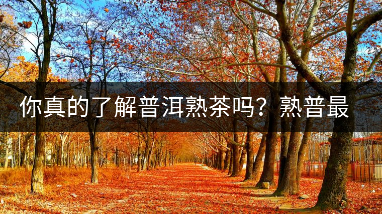 你真的了解普洱熟茶嗎？熟普最詳細的揭秘都在這里了。