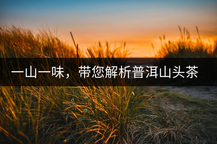 一山一味，帶您解析普洱山頭茶的密碼究竟是什么？